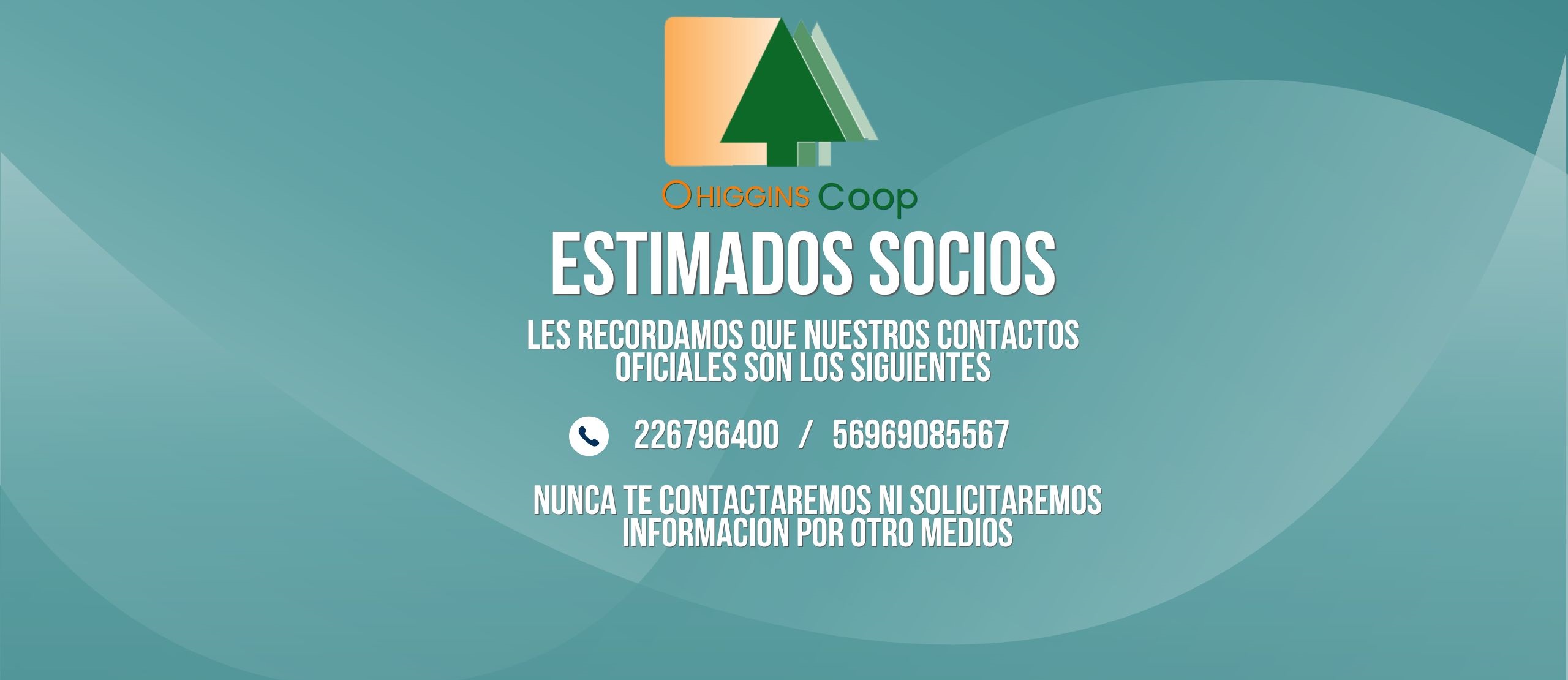 promo-banner-image