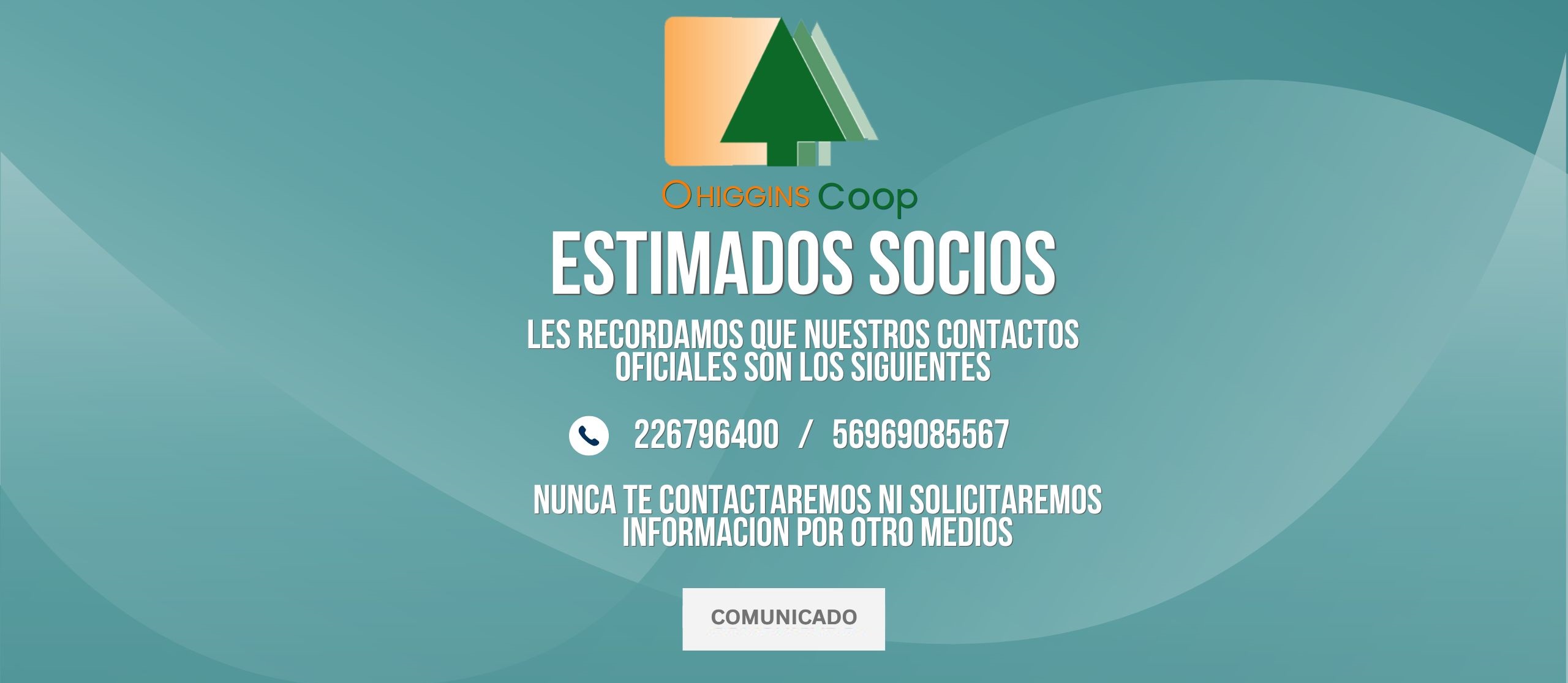 promo-banner-image