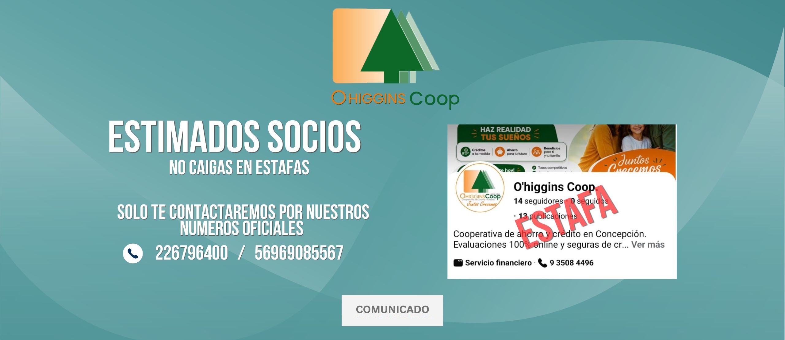 promo-banner-image